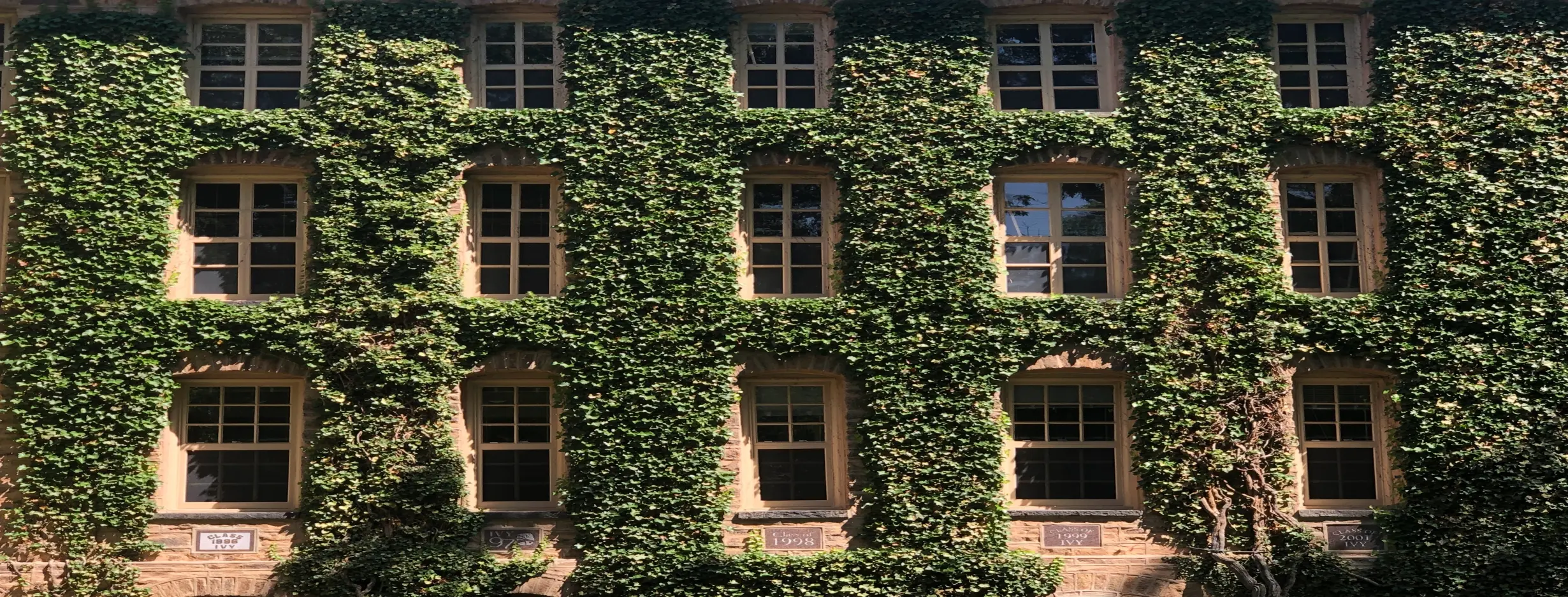 Image for Princeton University